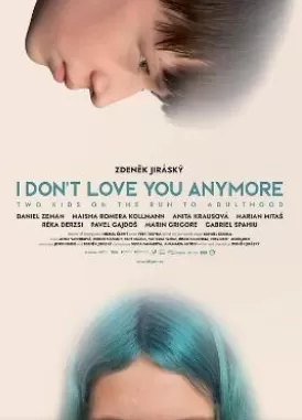 我不再爱你了海报