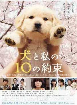狗狗与我的十个约定犬と私の10の約束海报