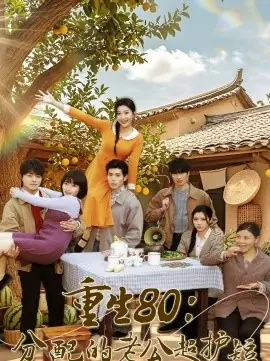 重生80:分配的老公超护短海报