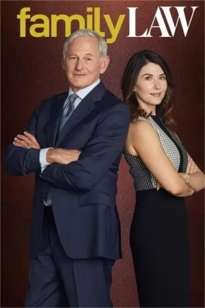 家庭法第二季海报