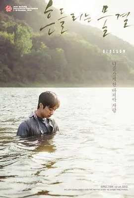 绽放흔들리는물결海报