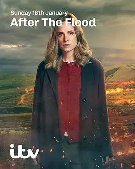 洪水之后第二季海报