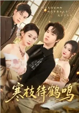寒枝待鹤鸣海报