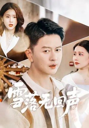 雪落无回声海报