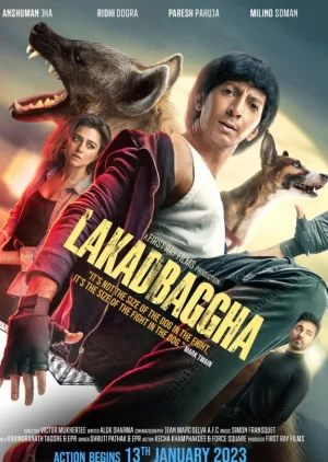 拉卡德巴加海报