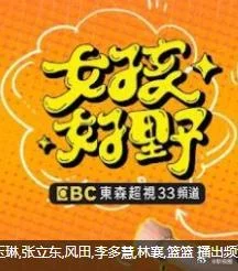 女孩好野2025海报