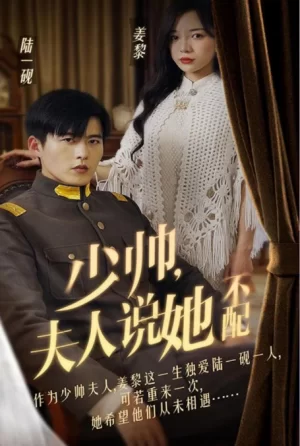 少帅,夫人说她不配海报