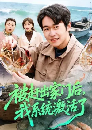 被赶出家门后,我系统激活了海报