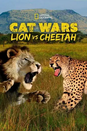 搜索猫科大战:狮子VS猎豹海报