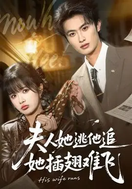 夫人她逃他追,她插翅难飞海报