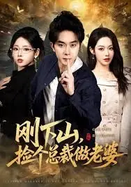 刚下山捡个总裁做老婆海报