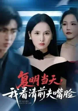 复明当天,我看清前夫嘴脸海报