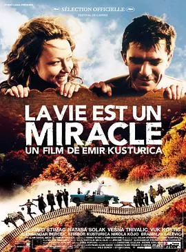 生命是个奇迹[电影解说]海报