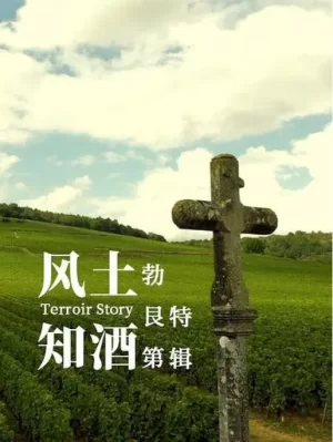 风土知酒第二季海报