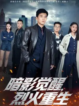 暗影觉醒,烈火重生海报