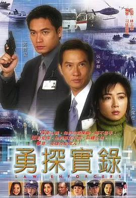 勇探实录(国语)海报