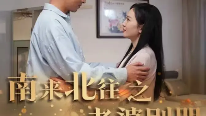 南来北往之老婆别哭海报