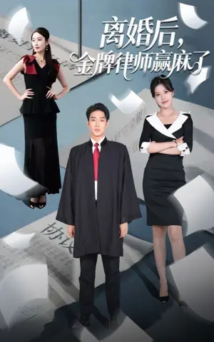离婚后,金牌律师赢麻了海报