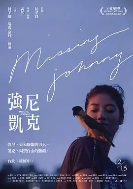 强尼凯克強尼·凱克海报