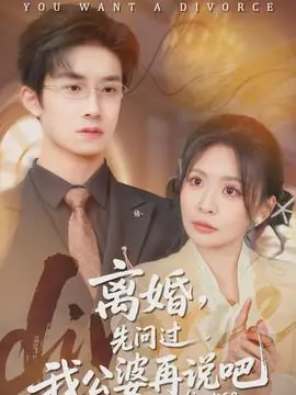 离婚,先问过我公婆再说吧海报