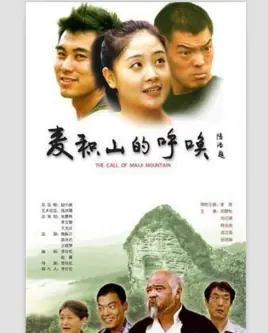 麦积山的呼唤海报