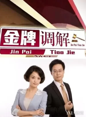 金牌调解2020海报