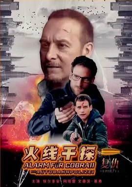 火线干探之复仇(国语)海报