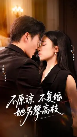 不原谅不复婚她另攀高枝海报
