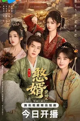 憨婿海报
