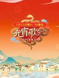 2025安徽元宵晚会海报