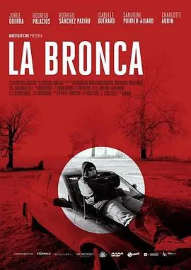 你疯了吗Labronca海报