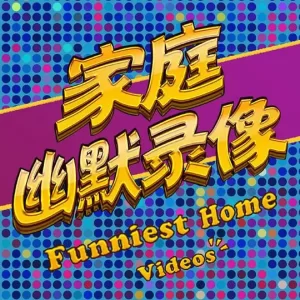 家庭幽默录像海报