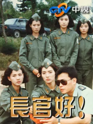 长官好海报