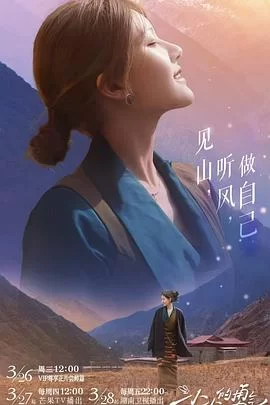 小小的勇气海报