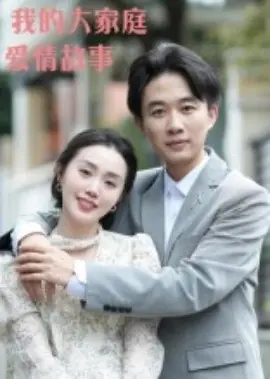 我的大家庭爱情故事海报