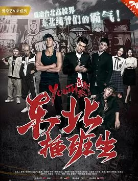 东北插班生海报