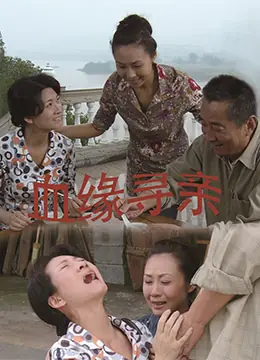 血缘寻亲海报