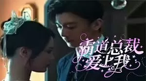 霸道总裁爱上我海报