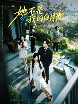 她不是我的白月光海报