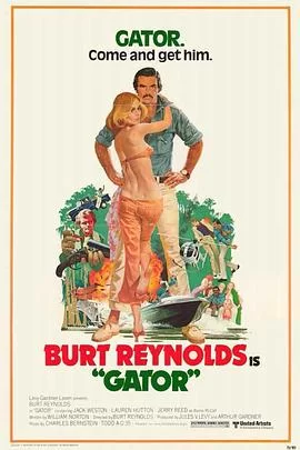 霹雳猛虎续集海报