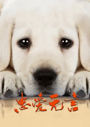 忠爱无言海报
