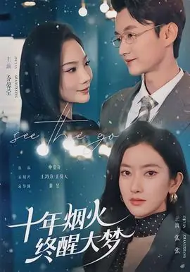 十年烟火,终醒大梦海报