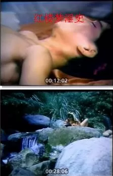 红楼梦淫史海报