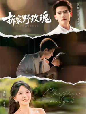拆家野玫瑰[80集]陈刚＆马乐婕海报
