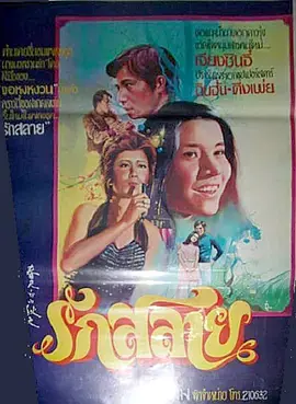 春天里的秋天海报