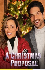 圣诞节求婚海报