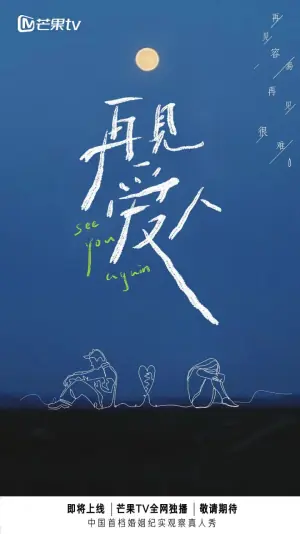 再见爱人第一季海报