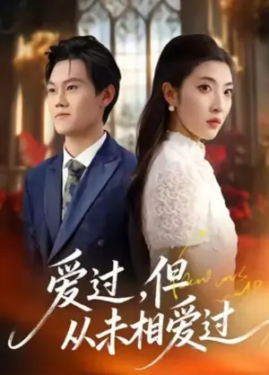 爱过,但从未相爱过海报