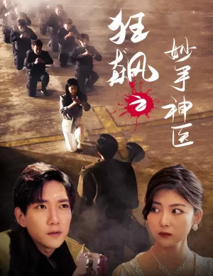 狂飙之妙手神医海报