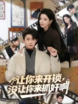 让你来开锁,没让你来抓奸啊海报